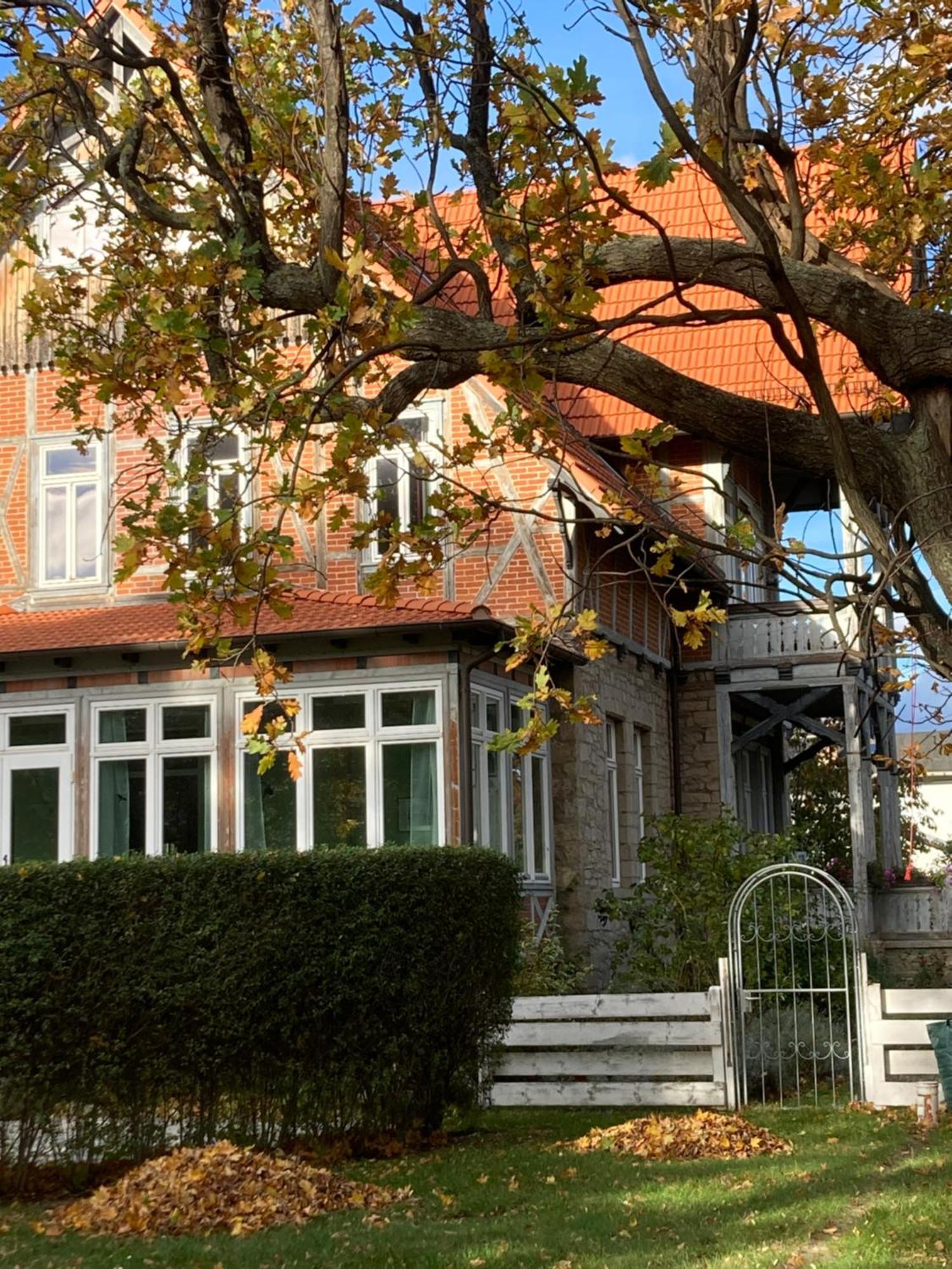Gaestehaus Musestieg Тале Екстериор снимка